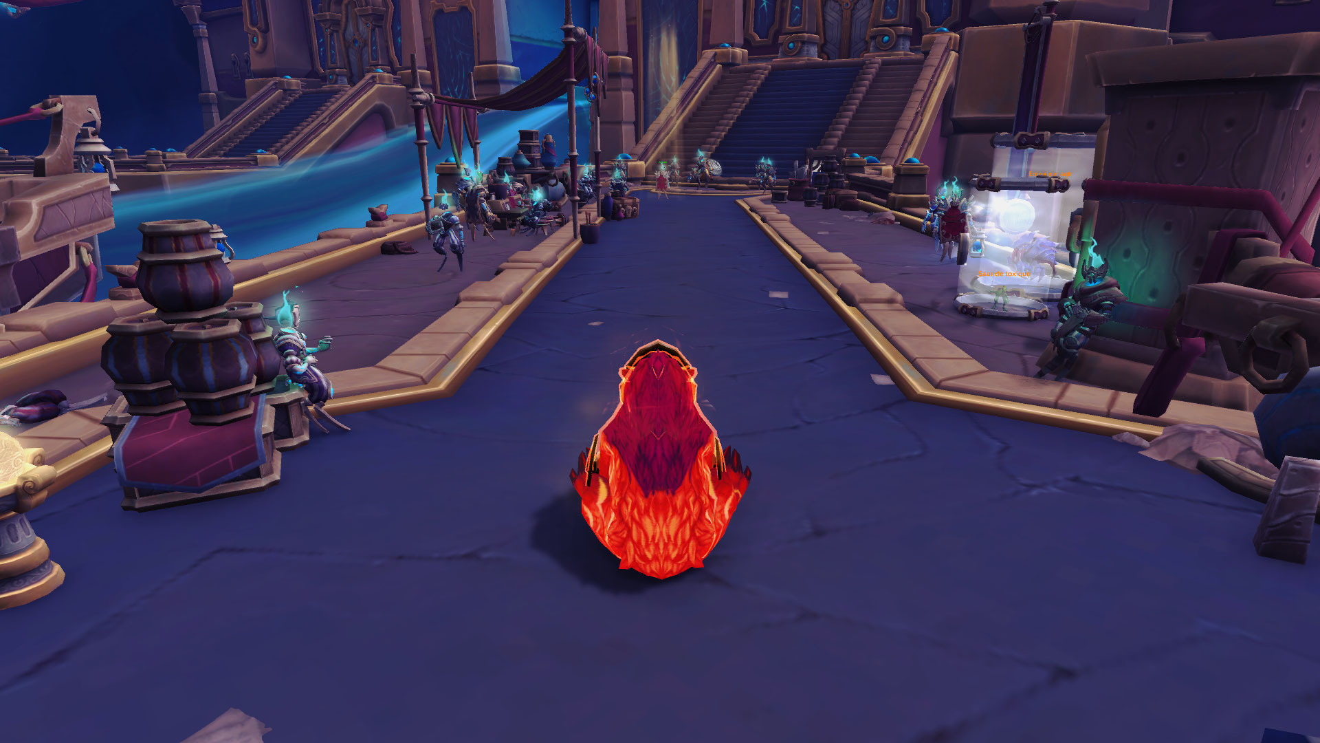 Sur cette image, je vous montre un druide Gardien entrain d'attendre le live sur tazavesh, le marché Dissimulé